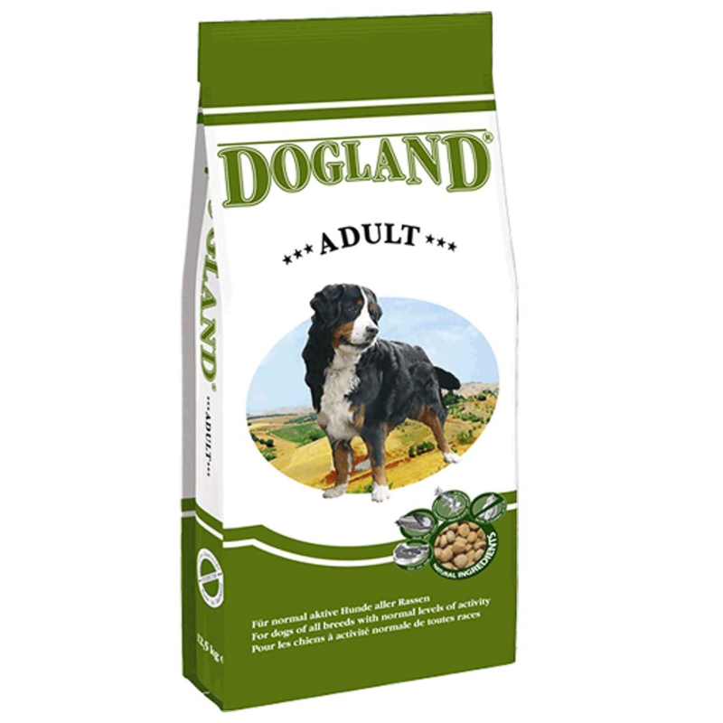 dogland adult